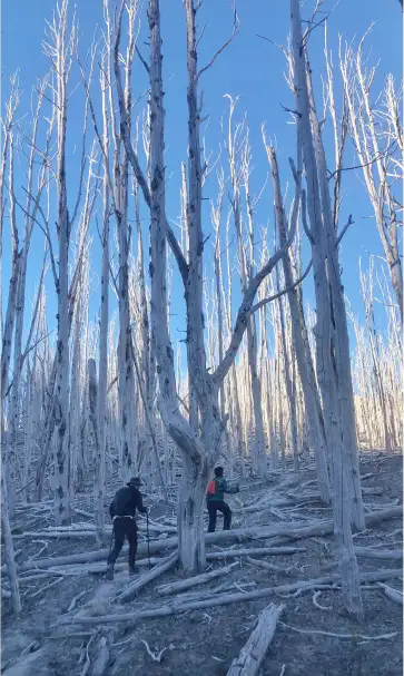 fotografía paisaje